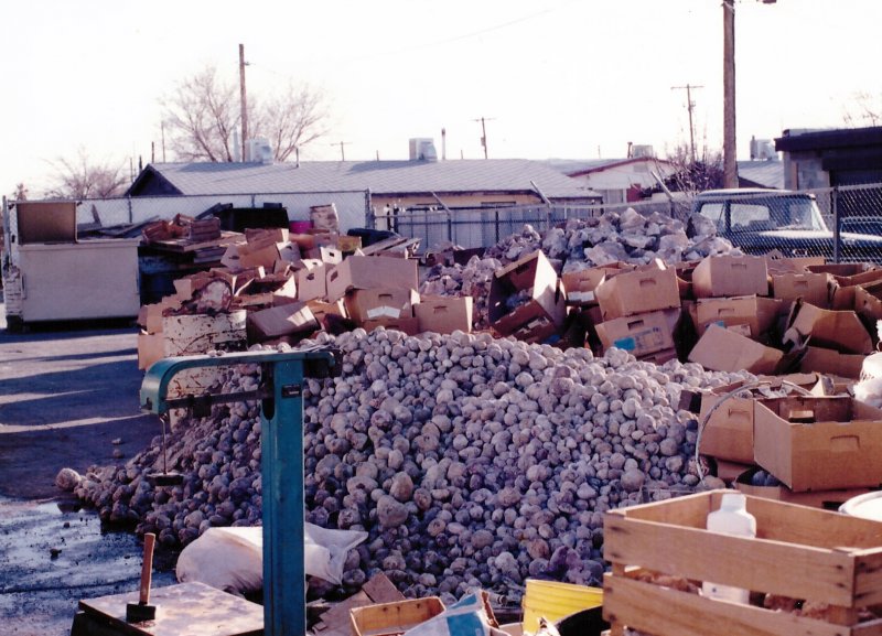 Old Rockyard - November 1989