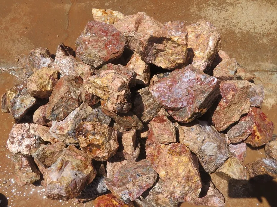 Coprolite Rough - Samalayuca Mexico