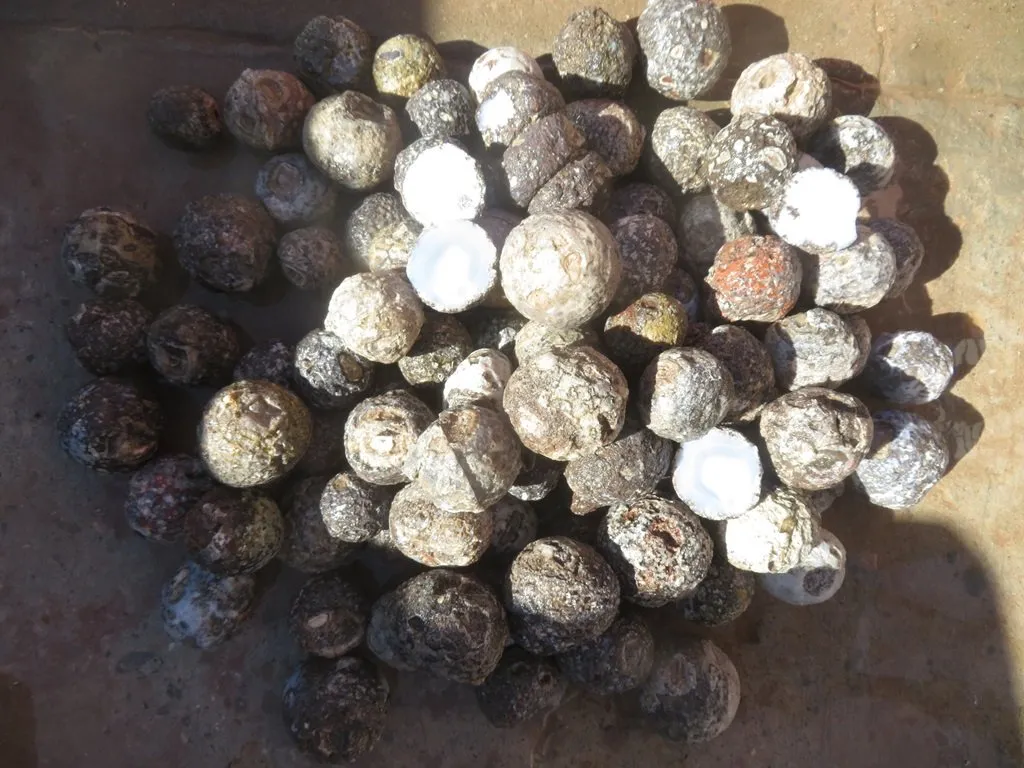 Solid Las Choyas Geodes - Chihuahua, Mexico