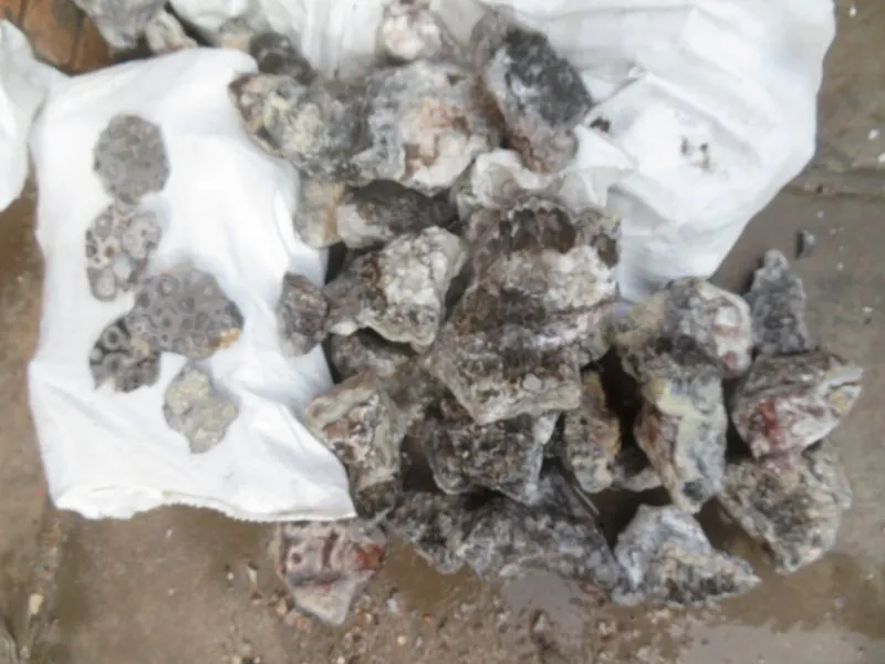 Tuxedo Lace Agate Rough - Benito Juarez, Chihuahua, Mexico