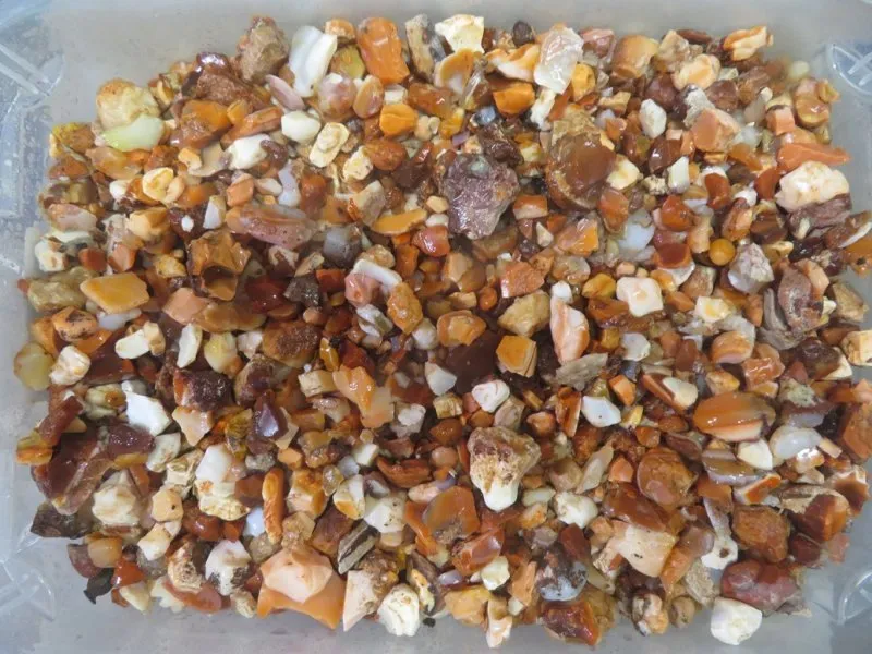 Small Mexican Jelly Opal Rough