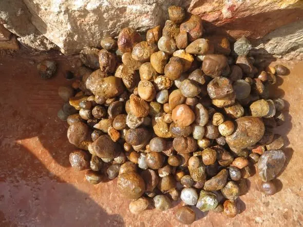 El Sueco Agate Nodules