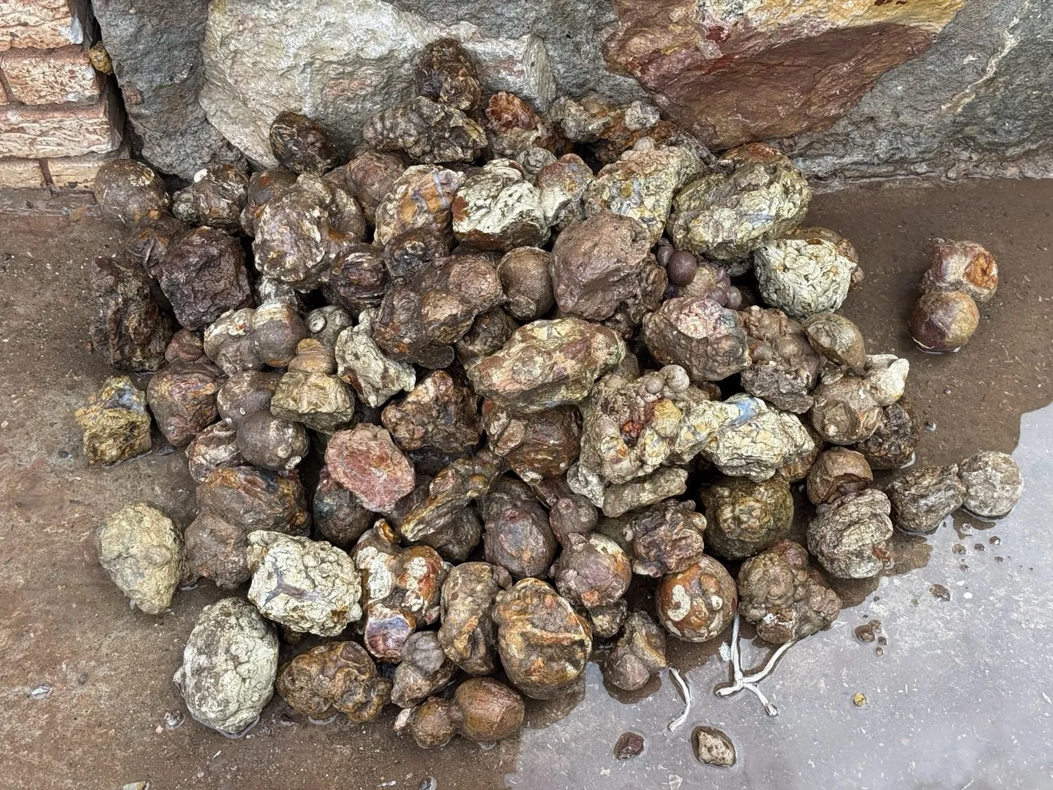 Cold Mountain Jasper/Thundereggs