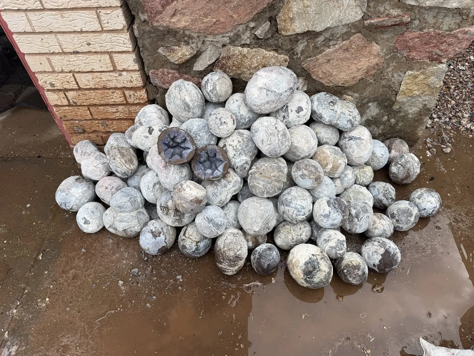 Dugway Star Thundereggs