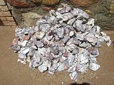 Porcelain Jasper - Sonora, Mexico