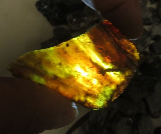 Mexican Chiapas Amber