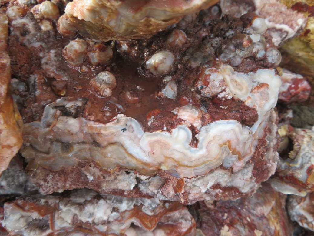 Mexican Crazy Lace Agate Cutting Rough