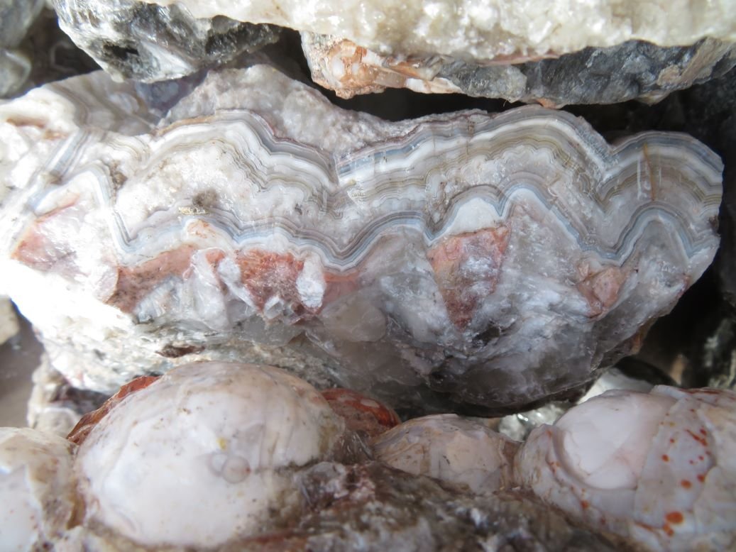 Old Fashion Lace Agate Rough