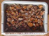 Aguascalientes Fire Agate Rough Grade A