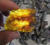 Mexican Chiapas Amber