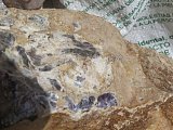 Mexican Purple Sodalite