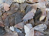 Fancy Jasper Arrowheads-Sold in packs of 100