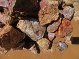 Coprolite Rough - Samalayuca Mexico