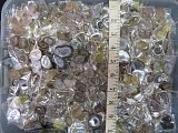 Cut and Polished Tabasco Geode Pairs