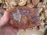 Cold Mountain Jasper/Thundereggs