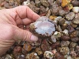 Calandria Agate Nodules Rough