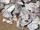 Porcelain Jasper - Sonora, Mexico