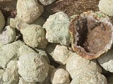Candy Apple Geodes - Chihuahua, Mexico