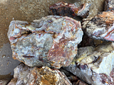 Tumbling Crazy Lace Agate