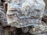 Tumbling Crazy Lace Agate