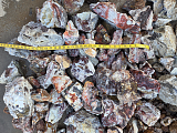 Tumbling Crazy Lace Agate