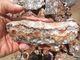 Red Bubble Lace Agate Rough
