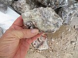 Tuxedo Lace Agate Rough - Benito Juarez, Chihuahua, Mexico