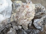 Tuxedo Lace Agate Rough - Benito Juarez, Chihuahua, Mexico