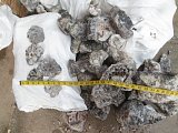 Tuxedo Lace Agate Rough - Benito Juarez, Chihuahua, Mexico
