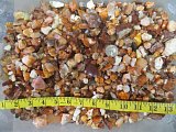 Small Mexican Jelly Opal Rough