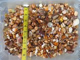 Small Mexican Jelly Opal Rough